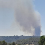 Incendi als boscos de l’Ermedàs Foc i columna fum Zona Ermedàs