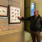 La Fundació Mascort presenta un centenar de làmines amb ocells i mamífers marins d’arreu del món