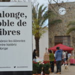 Balanç positiu de la col·laboració de “Calonge, poble de llibres” i el SSIBE amb la Marató de 3cat