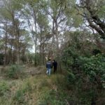 Pals comença a generar franges perimetrals per prevenir incendis franges perimetrals pals