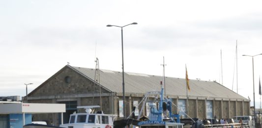 El nombre de tones capturades per la pesca marítima al Baix Empordà baixen fins a les 1.899,2 aquest 2023 03_Barques_al_port_de_Palamós_i_Museu_de_la_Pesca