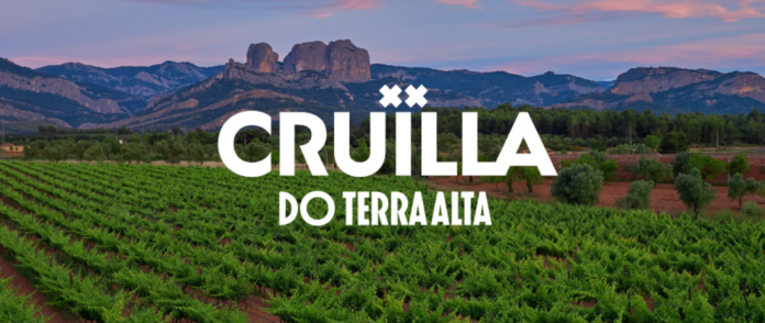 oques-grasses,-figa-flawas-o-gertrudis-al-cruilla-do-terra-alta