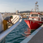 Les confraries gironines inicien la veda en la pesca d’arrossegament veda embarcacions de Palamós