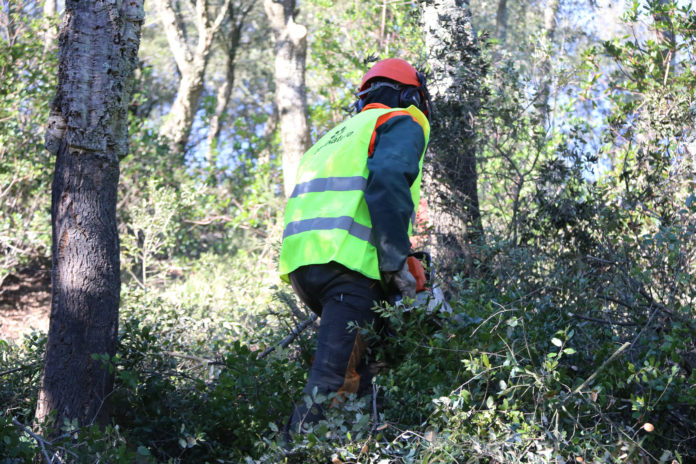 Un operari treballant treient sotabosc a les Gavarres. Gerard Vilà