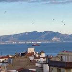 Opositors al projecte de parc eòlic marí critiquen l’activitat d’un vaixell de prospeccions al golf de Roses L'embarcació que ha estat fent prospeccions a la zona Data de publicació: dilluns 05 de febrer del 2024, 11:24 Localització: Roses Autor: Stop Macro Parc Eòlic Marí