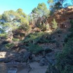 Els Bombers atenen 37 avisos relacionats amb el vent a les comarques gironines Begur arbre caigut