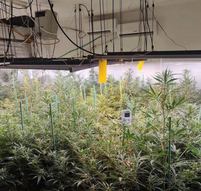 Marihuana Santa Cristina d'Aro Marihuana Santa Cristina d'Aro