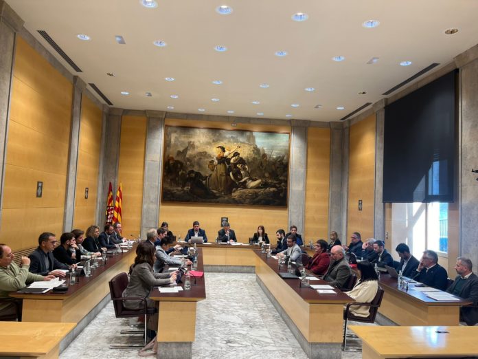 ple de la Diputació de Girona mes de febrer