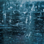 L’estat de la sequera al Baix Empordà després de les últimes pluges