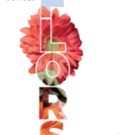 privat:-bases-del-71-concurs-exposicio-de-flors-al-monestir-de-sant-feliu-de-guixols-2024