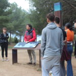 Una vintena de joves debaten a Palamós sobre com aconseguir una Europa “més verda i sostenible” Visita del Pacte Verd Europeu en el marc del projecte Y4 Green ERF a Palamós