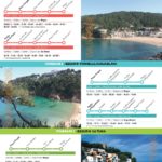 privat:-aprofita-el-bus-platges-begur,-de-l’1-de-juny-al-15-de-setembre