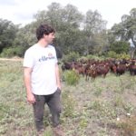 Acció Climàtica contracta ramats perquè netegin els boscos de les Gavarres o el Montgrí El Departament pagarà 400 euros per hectàrea