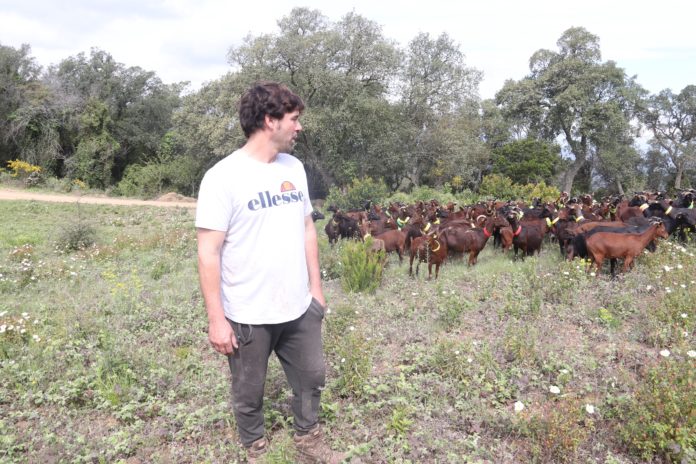 El Departament pagarà 400 euros per hectàrea El Departament pagarà 400 euros per hectàrea