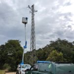 varwwwvhostsradiocapital.cathttpdocswp-contentuploads202405localimagesEl-Grup-de-Natura-Sterna-localitza-un-altre-duc-electrocutat-entre-els-termes-de-Palamos-i-Calonge-i-Sant-Antoni.jpg