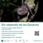 privat:-“els-ratpenats-de-les-gavarres:-una-batnight-a-llofriu”