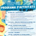 privat:-begur-acull-una-jornada-d’activitats-dedicades-a-les-tortugues-marines