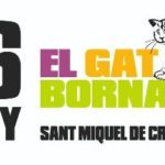 privat:-nova-edicio-del-festival-el-gat-bornaix-a-sant-miquel-de-cruilles-amb-joan-colomo-i-lecoq