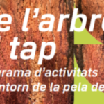 privat:-el-museu-del-suro-organitza-l’activitat-“de-l’arbre-al-tap”
