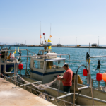 privat:-els-pescadors-de-cap-de-creus-s’alien-per-millorar-la-comercialitzacio-dels-seus-productes