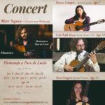 privat:-concerts-de-guitarra:-mediterranean-guitar-festival
