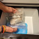 Recuperats dos exemplars de la catastròfica pedregada de la Bisbal d’Empordà pedregada bisbal