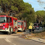 La Policia Local de Santa Cristina d’Aro busca l’autor dels dos incendis d’aquest dimarts Efectius dels Bombers treballant en un dels dos incendis intencionats que es van declarar a Santa Cristina d'Aro Data de publicació: dimecres 17 de juliol del 2024, 15:15 Localització: Santa Cristina d'Aro Autor: Cedida per l'Ajuntament de Santa Cristina d'Aro