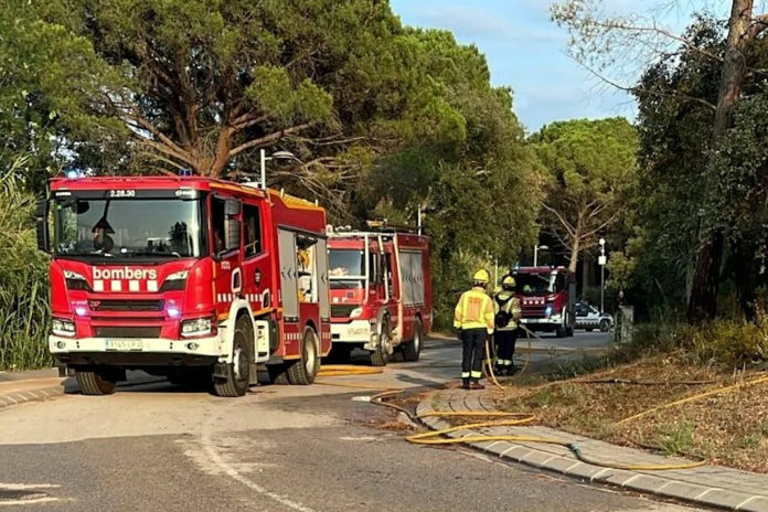 Efectius dels Bombers treballant en un dels dos incendis intencionats que es van declarar a Santa Cristina d'Aro Data de publicació: dimecres 17 de juliol del 2024, 15:15 Localització: Santa Cristina d'Aro Autor: Cedida per l'Ajuntament de Santa Cristina d'Aro