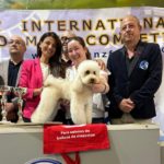 La begurenca Clàudia Caballero competirà al Campionat Europeu de Perruqueria Canina privat:-la-begurenca-claudia-caballero-competira-al-campionat-europeu-de-perruqueria-canina