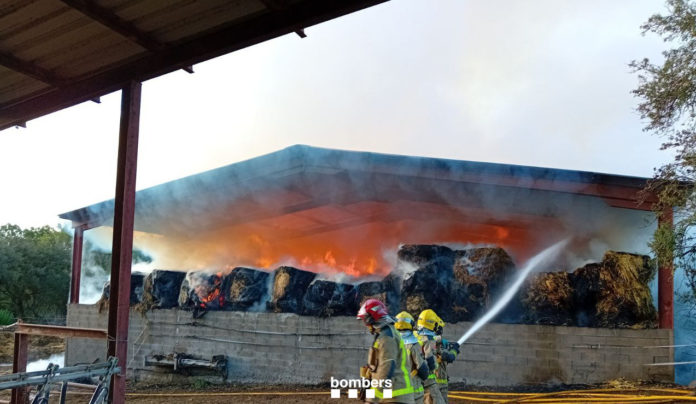 Bombers servei foixà