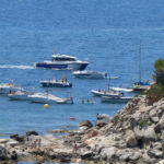 SOS Costa Brava denuncia que moltes embarcacions d’esbarjo incompleixen la normativa a l’espai de Cap Roig-Castell SOS Costa Brava fondeig cales