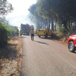 Un incendi afecta la zona de Pedralta de Sant Feliu de Guíxols