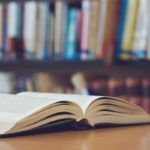 La gran novel·la del Baix Empordà – Introducció