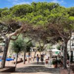 privat:-es-projecta-una-millora-de-la-peatonalitzacio-del-front-maritim-de-llafranc