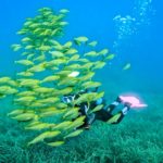 privat:-augmenten-les-immersions-a-l’agost-a-la-costa-brava-despres-d’un-inici-de-temporada-“fluix”