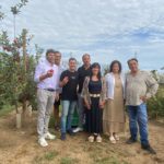 L’IGP Poma de Girona preveu superar les 96.000 tones de producció de pomes aquest 2024 Poma de Girona recollida