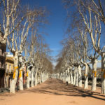 Dos veïns de la Bisbal detinguts per un delicte d’atemptat contra l’autoritat i un de violència de gènere