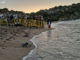 Alliberen 7 tortugues marines a la platja de Sa Riera de Begur 2024-alliberament-begur-set-10-768x576 tortugues