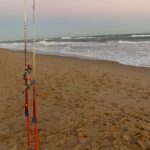 El Departament d’Agricultura fixa les talles mínimes i quotes de captura de la pesca recreativa al litoral gironí pesca recreativa