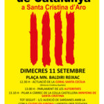 privat:-diada-de-catalunya