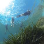 privat:-calonge-i-sant-antoni,-municipi-pioner-en-comptar-amb-una-area-verda-marina