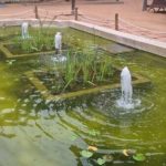privat:-reparacio-i-posada-en-marxa-de-nou-de-la-font-dels-jardins-juli-garreta-de-sant-feliu