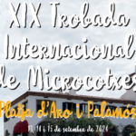 privat:-palamos-acull-l’ultima-etapa-de-la-xix-trobada-internacional-de-microcotxes