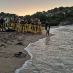 Alliberades set tortugues marines a la platja de Begur amb dispositiu de seguiment per satèl·lit privat:-alliberament-de-7-tortugues-marines-a-begur-amb-dispositiu-de-seguiment-satellital