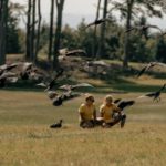 Proposen el massís del Montgrí, per reintroduir l’ibis ermità a Catalunya privat:-el-govern-impulsa-la-reintroduccio-de-l’ibis-ermita-al-massis-del-montgri