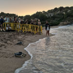 privat:-s’alliberen-set-tortugues-marines-a-sa-riera