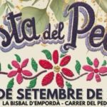 privat:-10a-edicio-de-la-festa-del-pedro-de-la-bisbal