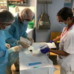 privat:-l’hospital-de-palamos-implanta-per-primer-cop-un-holter-subcutani-per-registrar-arritmies