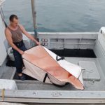 Els pescadors de Palamós milloren la qualitat de la tonyina amb el mètode IKE JIME