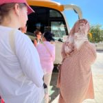 Palafrugell-Barcelona: el drama del transport públic al Baix Empordà autobus circulació